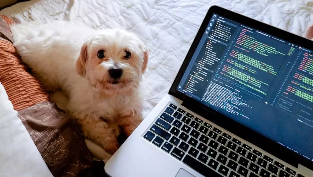 AI Agents: Revolutionizing Software Development Beyond Autocomplete